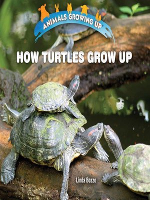cover image of How Turtles Grow Up